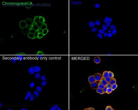 HUABIO EM0407-24 image 2