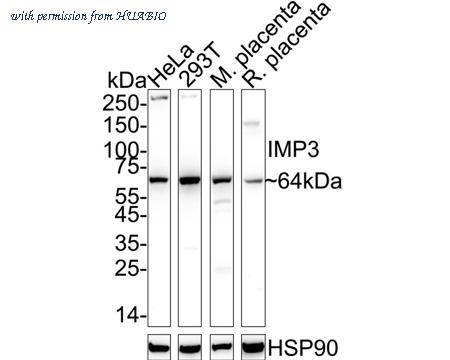 HUABIO EM1701-15-50UL image 1