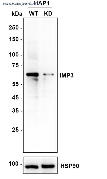 HUABIO EM1701-15-50UL image 2