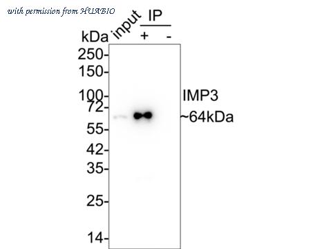 HUABIO EM1701-15-50UL image 3