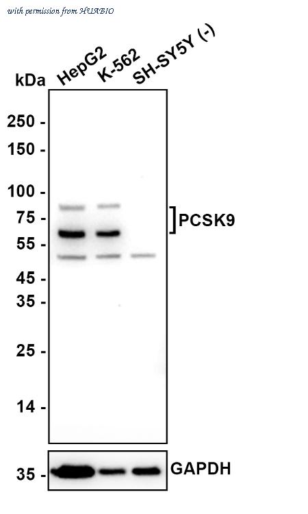 HUABIO EM1701-26-50UL image 1