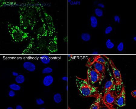 HUABIO EM1701-26-50UL image 2