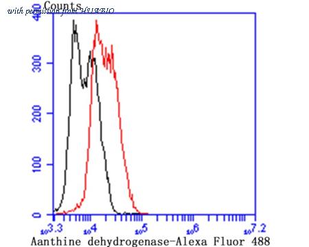 HUABIO EM1701-56 image 3