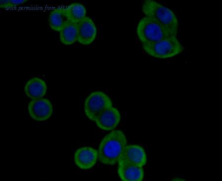 HUABIO EM1701-90 image 3