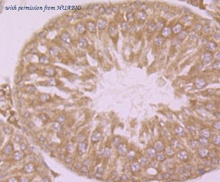 HUABIO EM1801-02 image 1