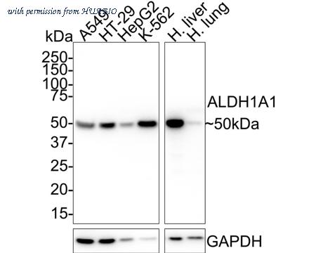 HUABIO EM1801-07 image 1