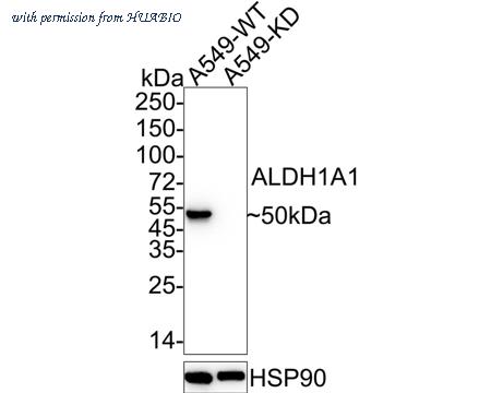 HUABIO EM1801-07 image 2