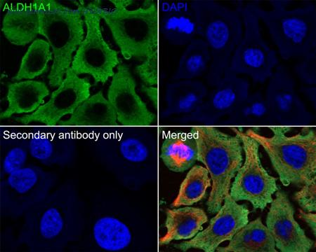 HUABIO EM1801-07 image 3