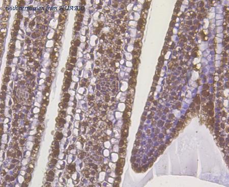 HUABIO EM1901-06 image 2