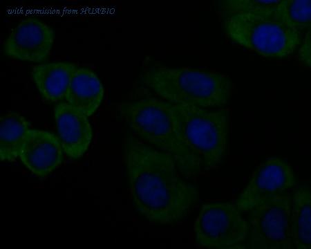 HUABIO EM1901-14 image 2