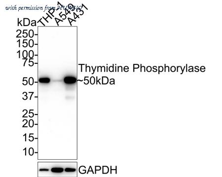HUABIO EM1901-23 image 1