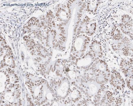 HUABIO EM1901-34 image 3