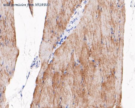 HUABIO EM1901-45 image 2