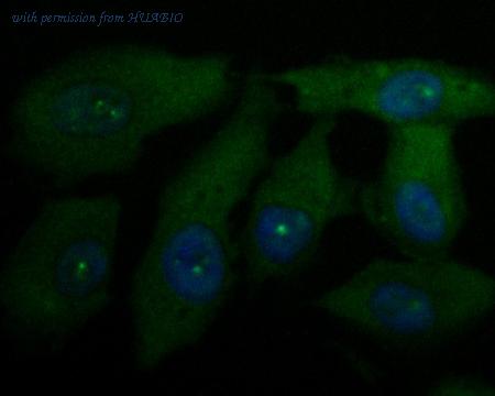HUABIO EM1901-66 image 2