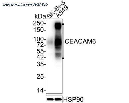 HUABIO EM1901-68-50UL image 1