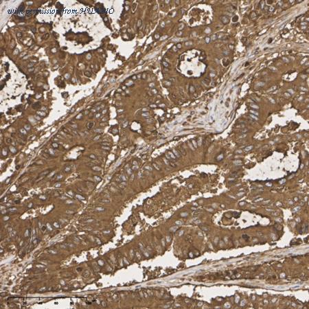 HUABIO EM1901-68-50UL image 3