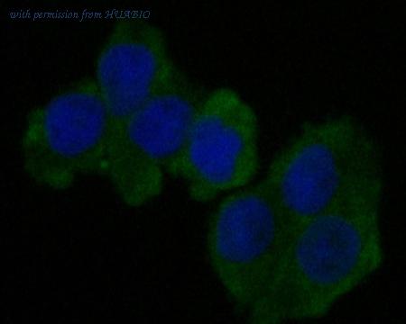 HUABIO EM1901-69 image 1