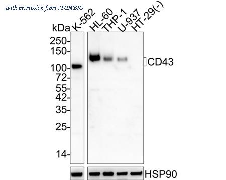 HUABIO EM1901-71 image 1