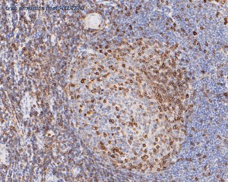 HUABIO EM1901-71 image 2