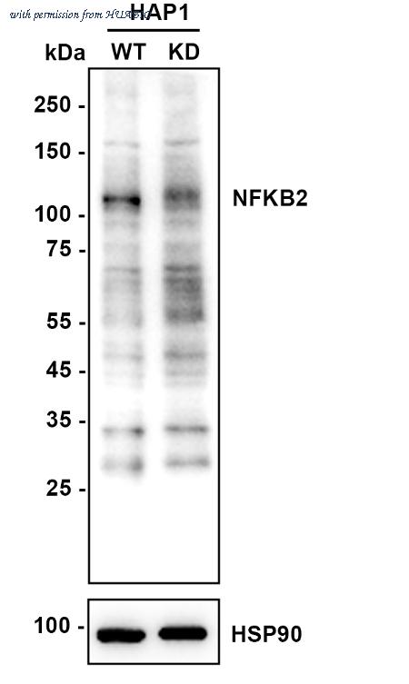 HUABIO EM1901-79 image 1