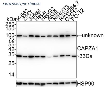 HUABIO EM1901-82 image 1