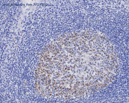 HUABIO EM1901-84 image 2