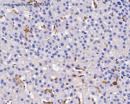 HUABIO EM1901-90 image 3