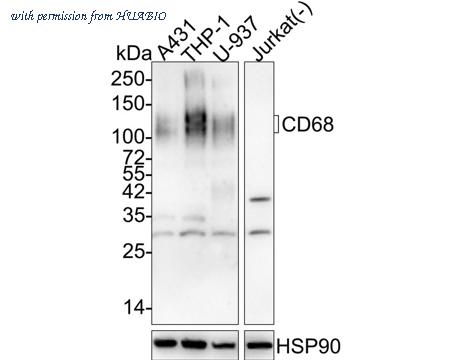 HUABIO EM1901-93 image 1