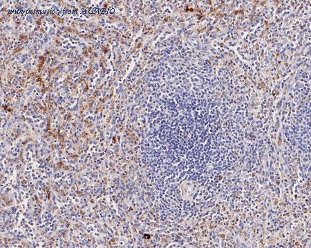 HUABIO EM1901-93 image 3