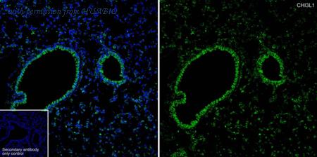HUABIO EM1902-14-50UL image 2