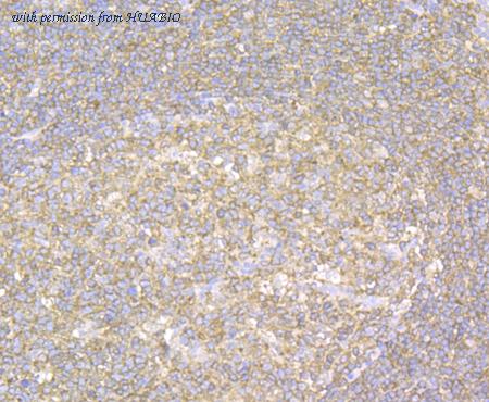 HUABIO EM1902-14-50UL image 3