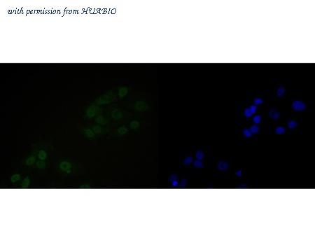 HUABIO EM1902-16 image 2