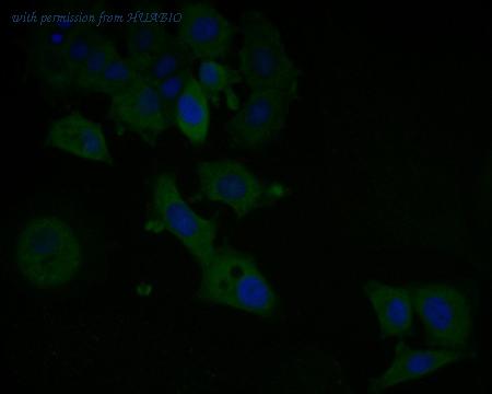 HUABIO EM1902-17 image 2