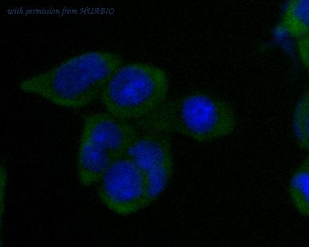 HUABIO EM1902-40 image 3