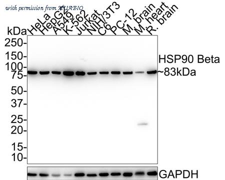 HUABIO EM21103 image 1