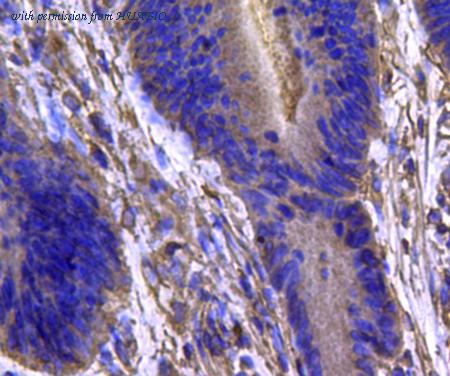 HUABIO EM40705 image 2