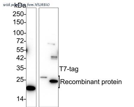 HUABIO EM50802-50UL image 1