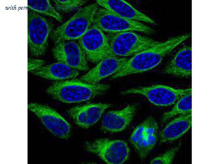 HUABIO ER130905 image 3