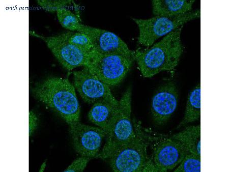 HUABIO ER130915 image 3