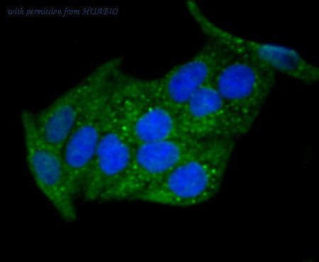 HUABIO ER1512-20 image 2