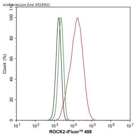 HUABIO ER1706-48 image 3