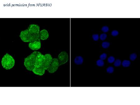 HUABIO ER1706-49 image 3