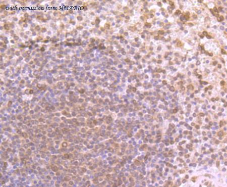 HUABIO ER1706-96 image 3