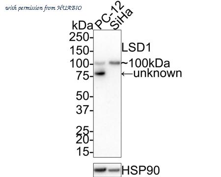 HUABIO ER1802-12 image 1