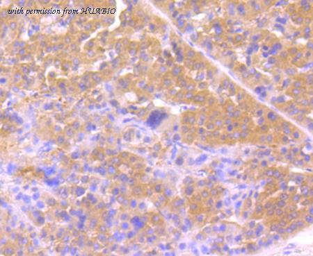 HUABIO ER1802-15 image 1