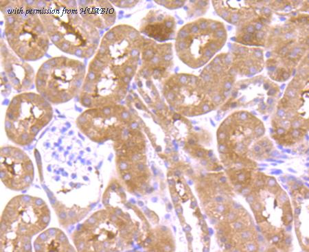 HUABIO ER1802-15 image 3