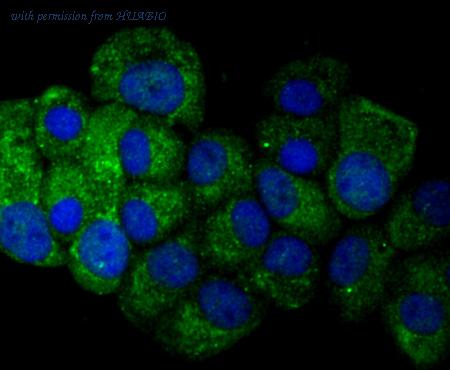 HUABIO ER1802-16 image 2