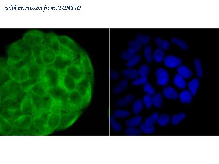 HUABIO ER1802-19 image 2