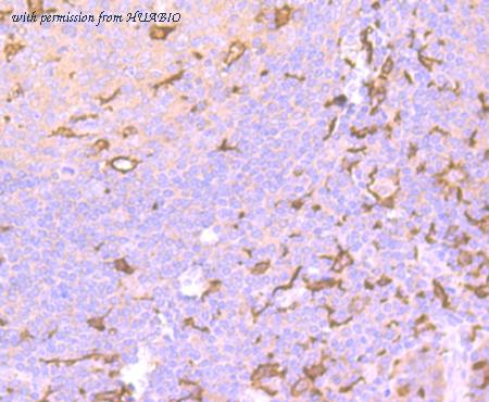 HUABIO ER1802-20 image 1