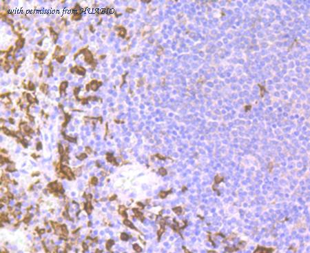 HUABIO ER1802-20 image 2